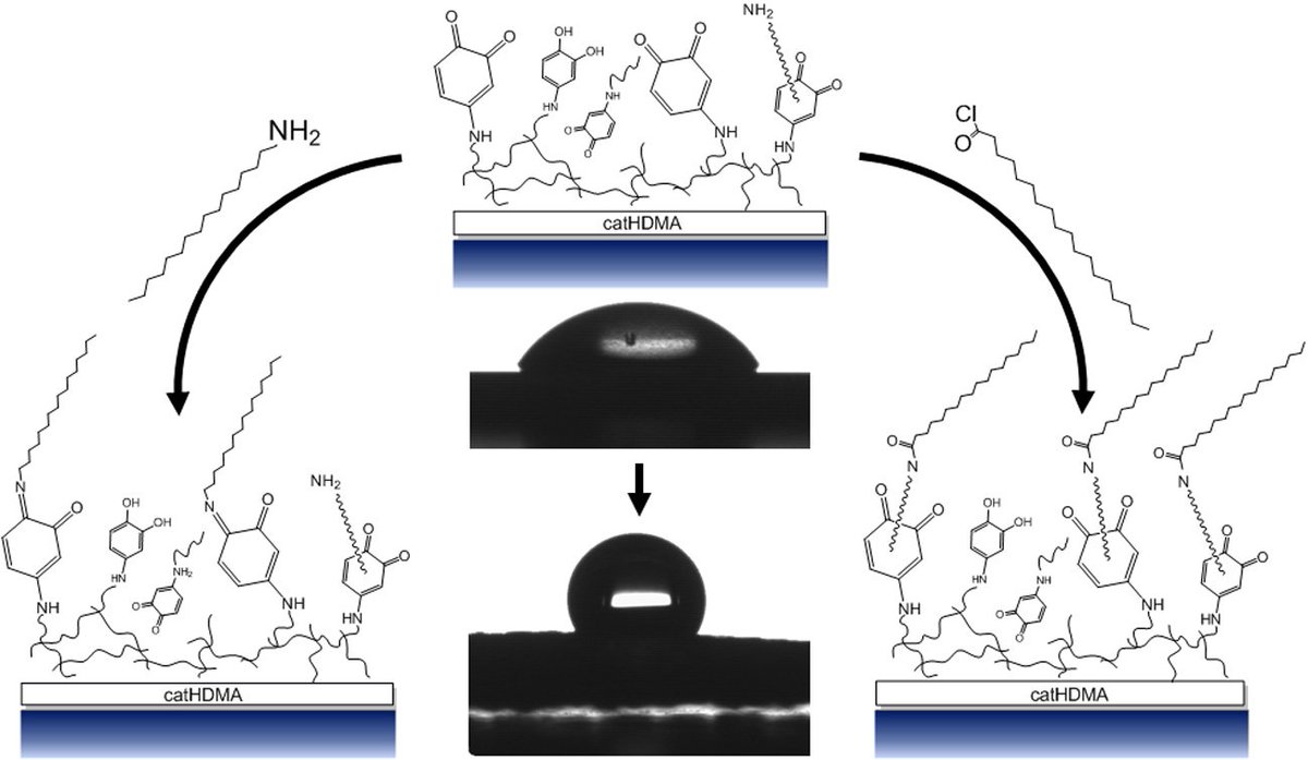 Biomim_MDPI's tweet image. Copolymerization of a #catechol and a diamine as a versatile platform for surface functionalization  bit.ly/2AOmMla @Biomim_MDPI from Daniel Ruiz-Molina @icn2nano #hydrophobic #coatings