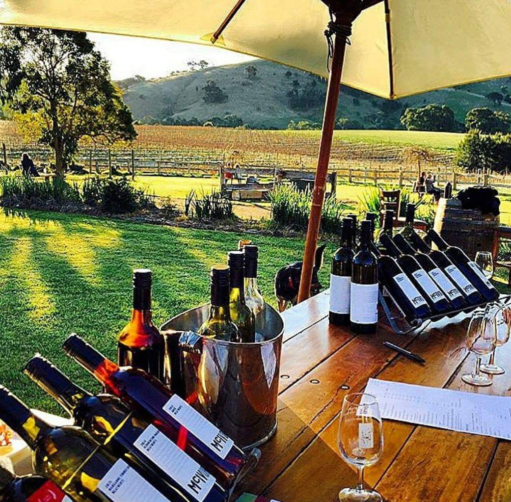 Fill your weekend with 20 amazing cellar doors and wine tasting our beautiful region heathcotecellardoors.com #wine #winetasting #shiraz