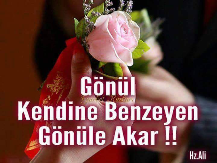 اللهن آمنة  25 dadaş (@orhan11391688) on Twitter photo 