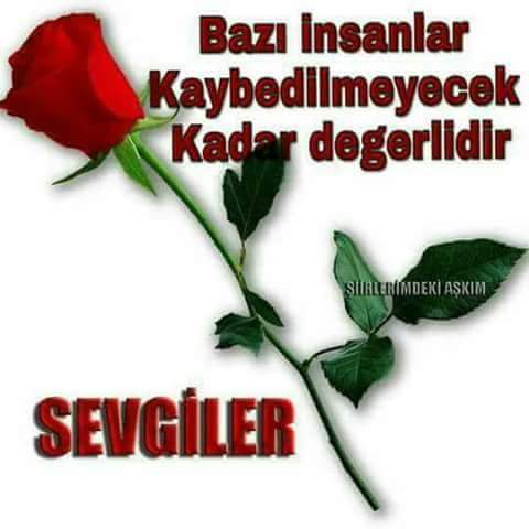 اللهن آمنة  25 dadaş (@orhan11391688) on Twitter photo 