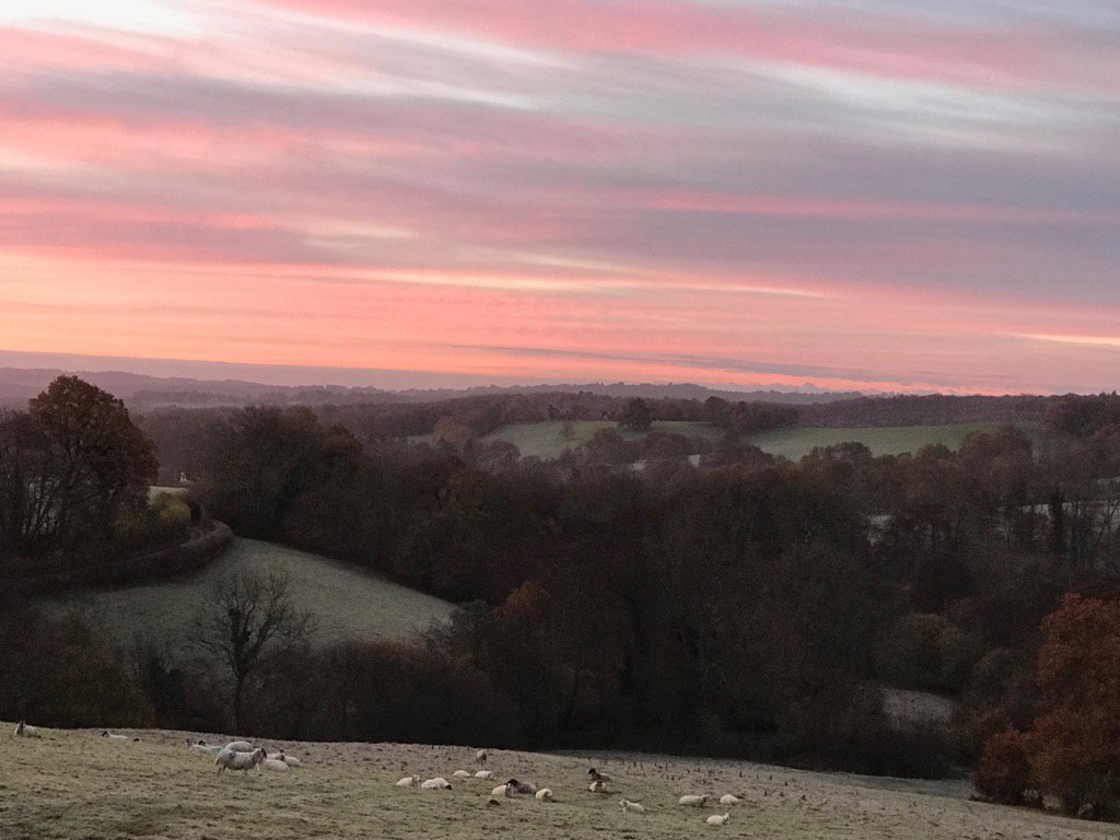 scragoak's tweet photo. Red sky in the morning, shepherds’ warning - but the #scragoak sheep aren’t bothered https://t.co/tjUbmX4yAZ