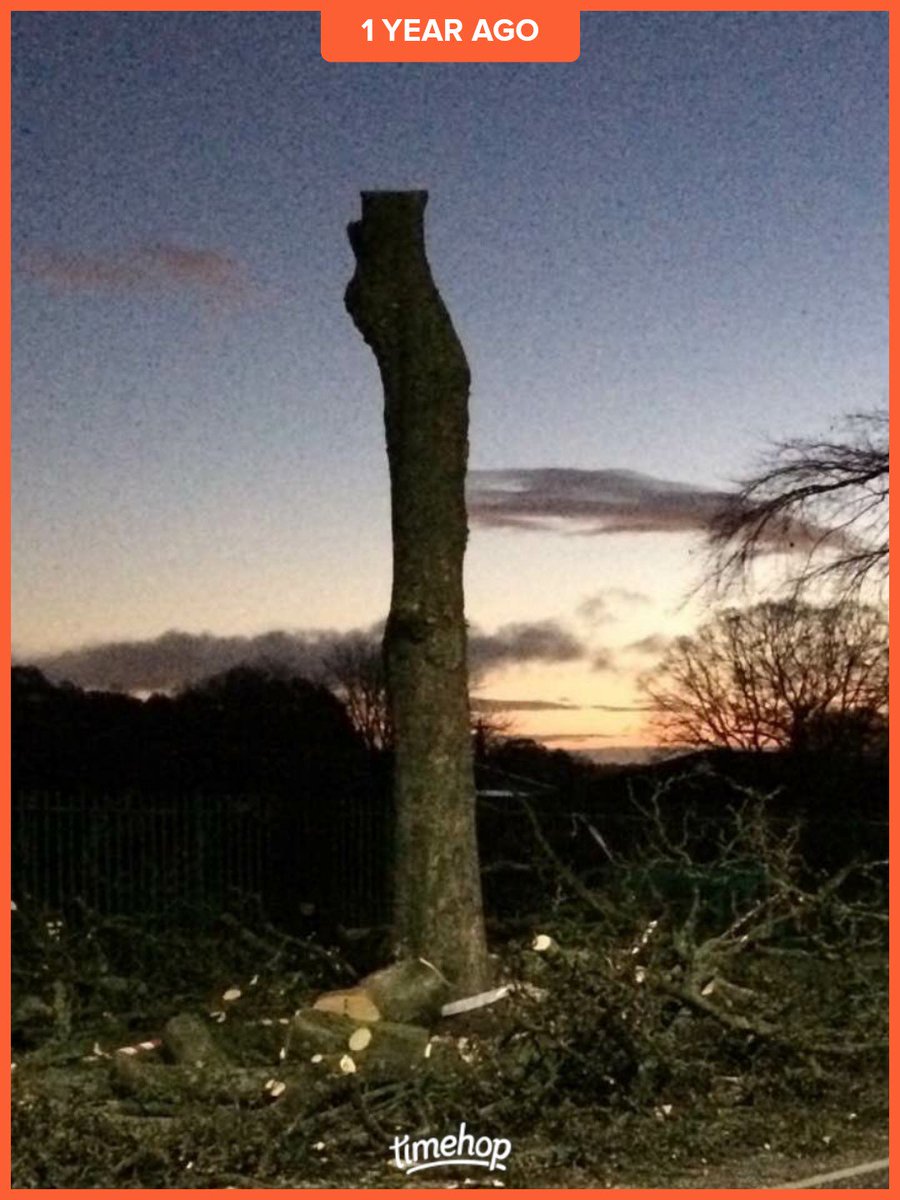 Jilliano's tweet photo. #SaveSheffTrees
things changed on that day...
Sheffield changed.
#RustlingsRoad https://t.co/IwWFi47GT8