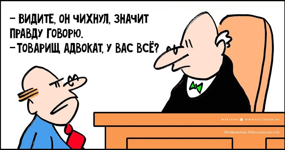 Смешные картинки, смешные картинки с адвокатом