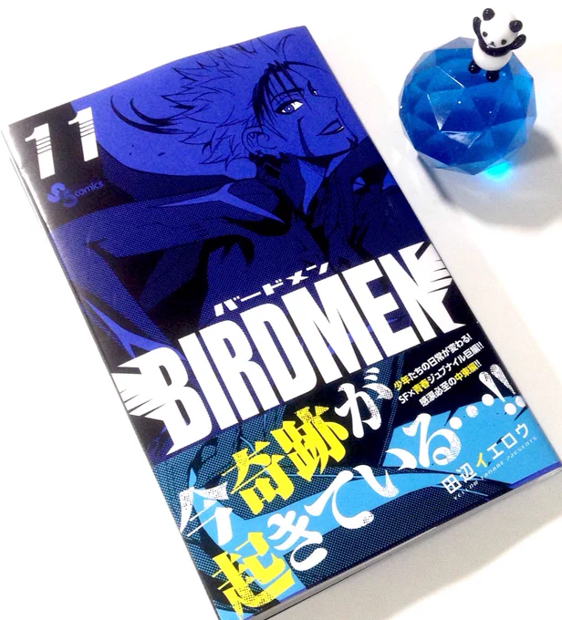 本日よりBIRDMEN 11巻発売中!
マジ王子と謎のお風呂回もあるよ! 