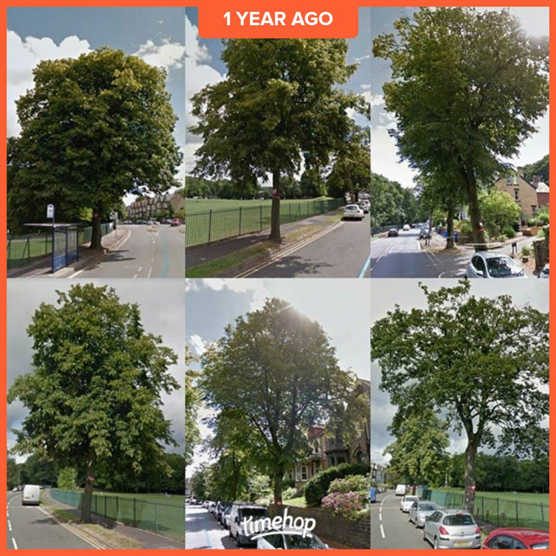 Jilliano's tweet photo. #RustlingsRoad #SaveSheffTrees https://t.co/6Ehi6yQgcr