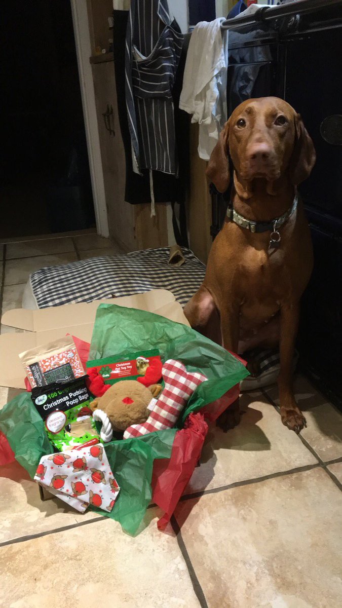 Emma Elliott tweet media