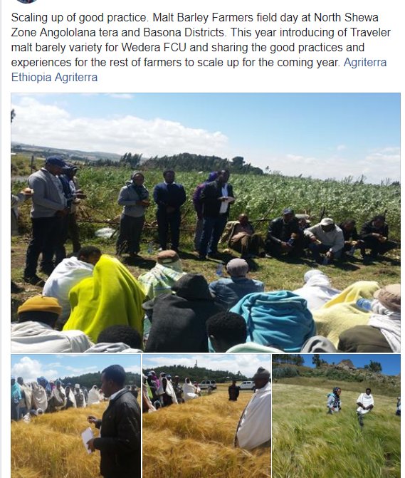 Getnet Techane (@getnet_techane) on Twitter photo 