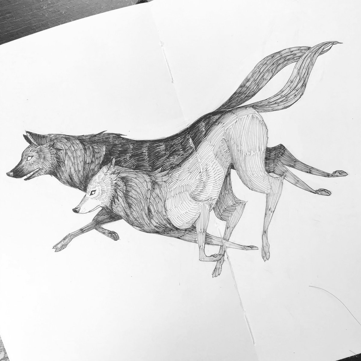 KLVegas's tweet photo. #inktober highlights. The plus side of being sick for so long. I have time for these. https://t.co/uHIKvgKo7D