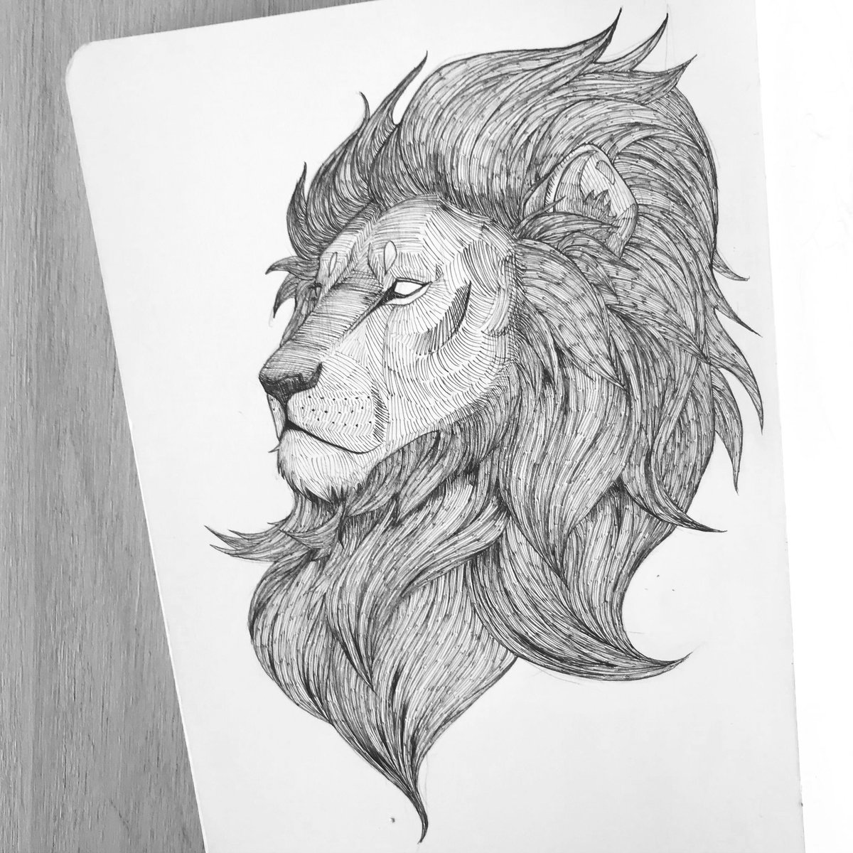 KLVegas's tweet photo. #inktober highlights. The plus side of being sick for so long. I have time for these. https://t.co/uHIKvgKo7D