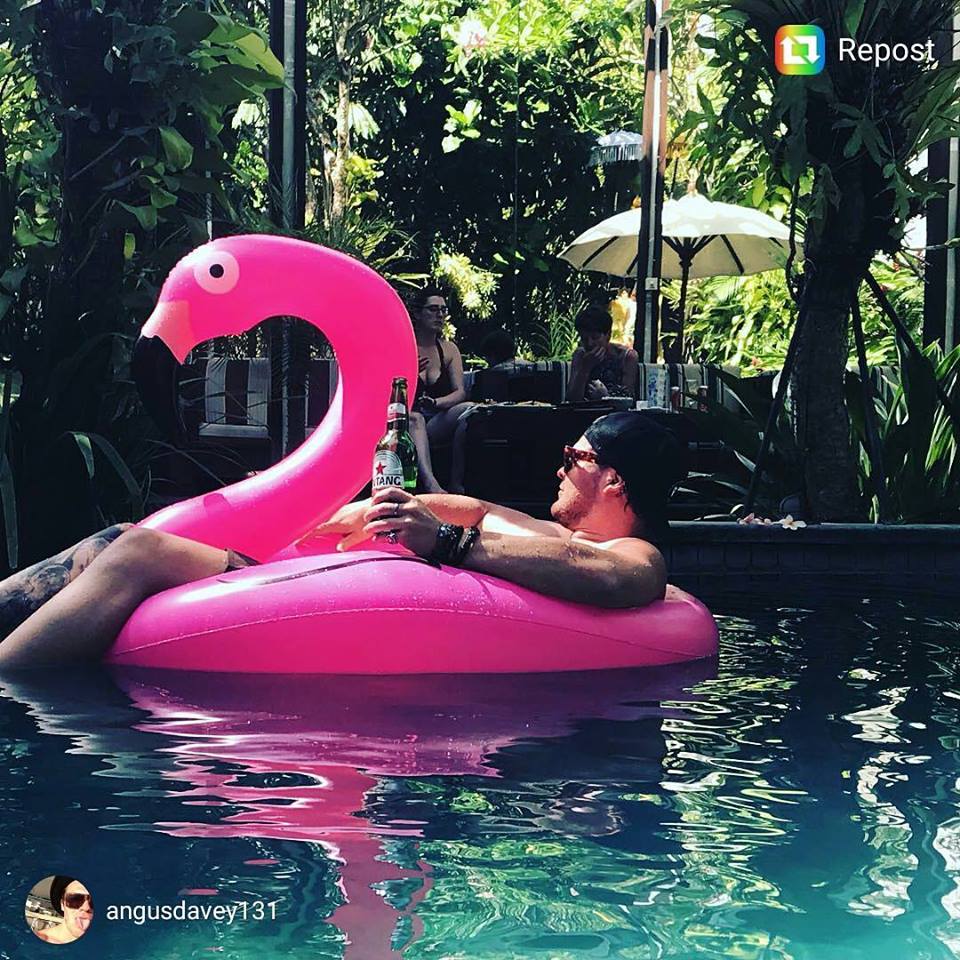 BaliDreamVilla's tweet photo. What you doing on this weekend? TGIF!

📷Courtesy @angusdavey131

Follow Us ⤵️⤵️
Instagram : @thebalidreamvillaseminyak
Twitter : @BaliDreamVilla

https://t.co/cbshWs2z9Z
#villalife #weekendvibes #weekend #thebalidreamvillaresortcanggu #airbnbhost #goodpict #baliisland https://t.co/ePhebBwyXH