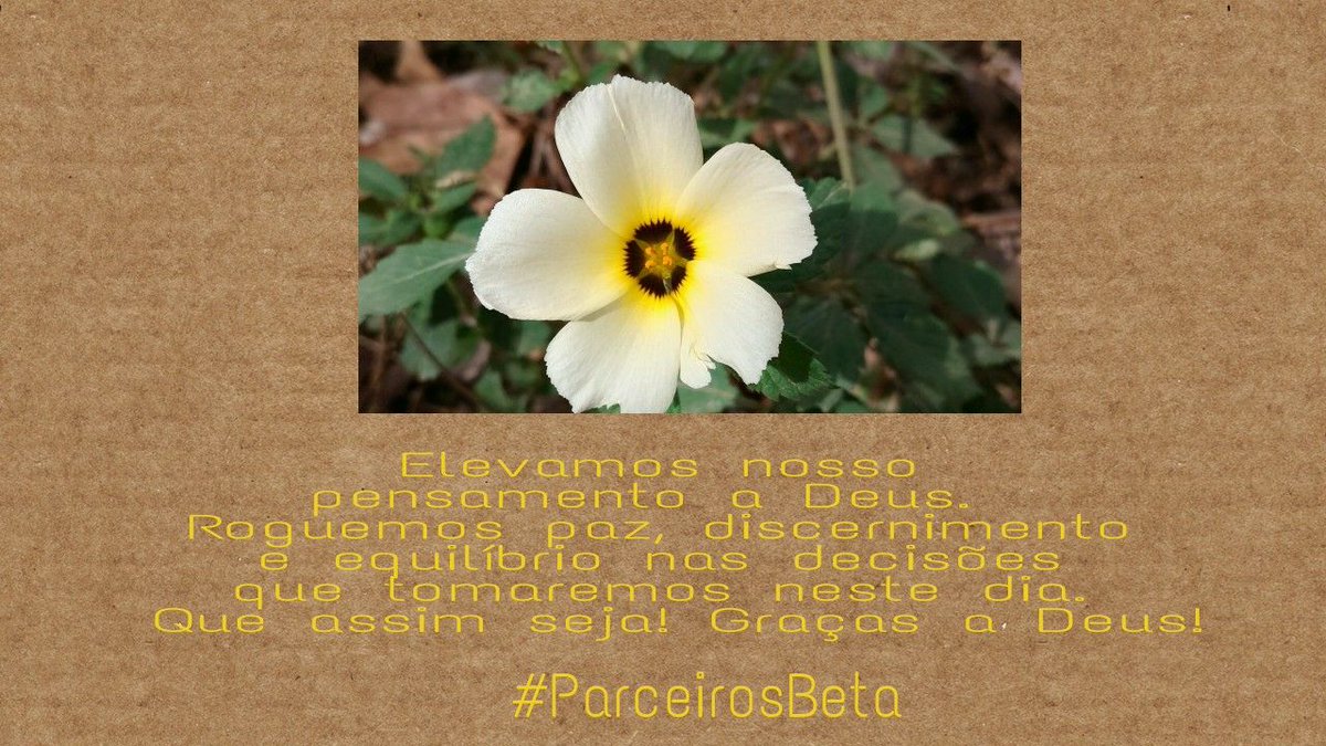 #ParceirosBeta
BOM DIA
