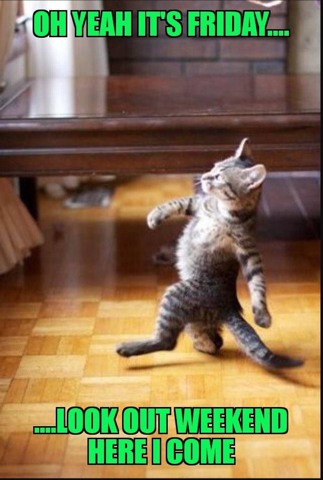 thesinofgin's tweet image. Just love Fridays, gin cocktails tonight.
#gin #fridayfeeling