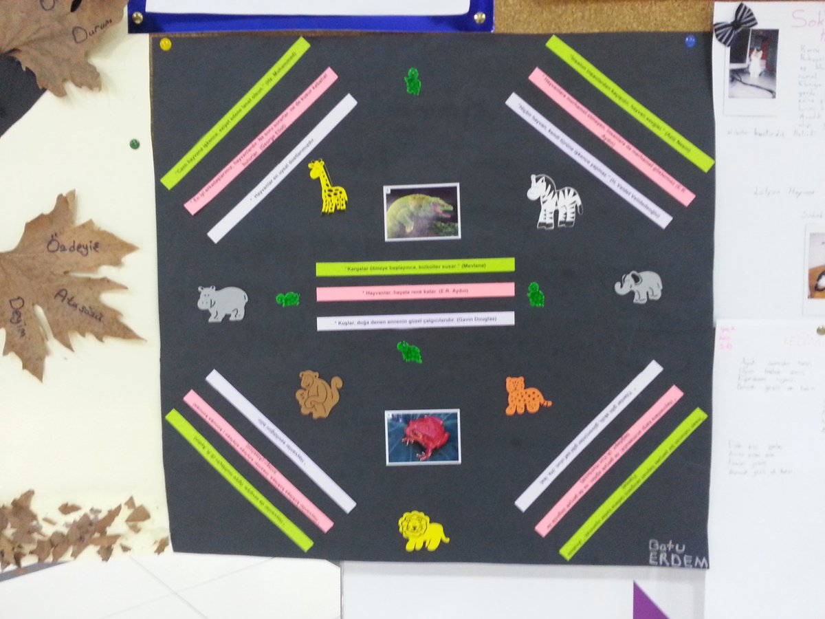 Hayvanları Koruma Haftası panosu...