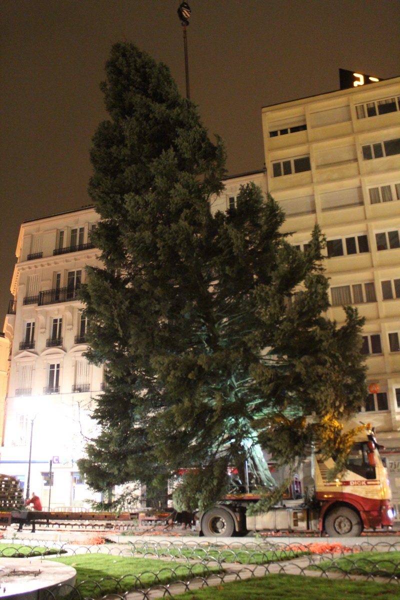 Joelle_CR's tweet photo. 23m de haut, 6 tonnes, un diamètre au sol de presque 10m. 
Le sapin de #Noel de #Puteaux est arrivé et sera bientôt décoré!  Merci aux agents des Espaces verts, Voirie-Cadre de vie et Police municipale d'avoir rendu cela possible cette nuit. https://t.co/MOhEKboTYs