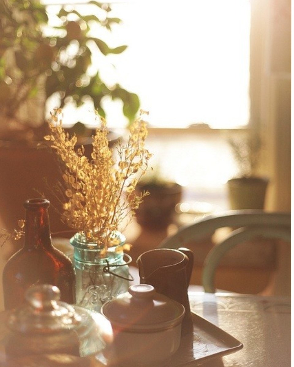 De la douceur pour vous en cette matinée de novembre ☀ Soyez solaire, faites vous du bien, chouchoutez vous !!! Je trouve cette photo très apaisante.