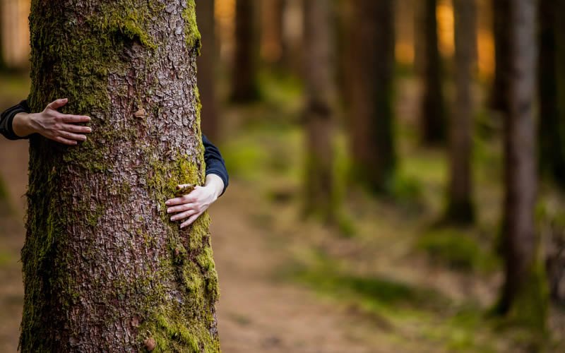 We can all be more environmentally conscious without giving up parts of our #lifestyle. Very often small changes are all that is needed! Live #ecofriendly.  
greentumble.com/5-things-you-m…