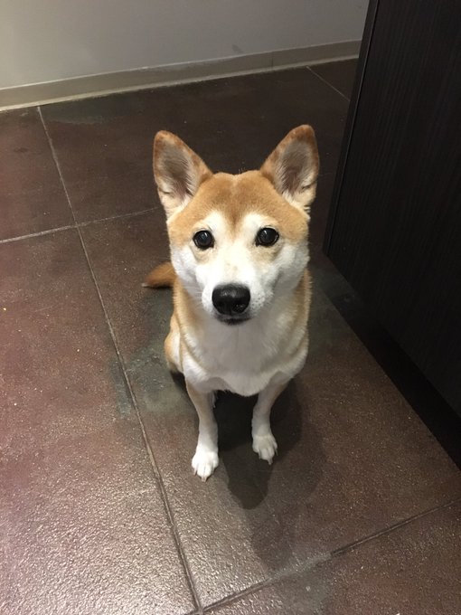 Dagny wants any food no matter what it is https://t.co/G7R9IAqZGo