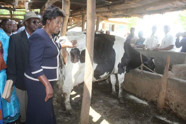 mamangilu's tweet photo. I visited Patrick Kanyenya farm in Mwingi West Sub-county. I assured farmers who gathered at the farm that the County Government seeks to partner with farmers to enhance their production capacity, value addition and seek better markets for competitive prices https://t.co/CtwvmnHq77