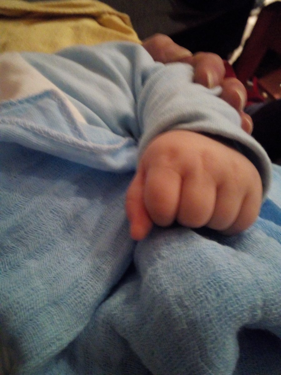 mdcmp81's tweet image. buenos dias! esta es la recompensa despues de trabajar #lacasarevuelta #misloquillos  👦👧👧👶 #estoesdelocos pero unos locos felices 💏 @CarEscavias #HomeSweetHome