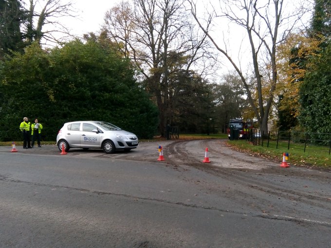 View image on Twitter