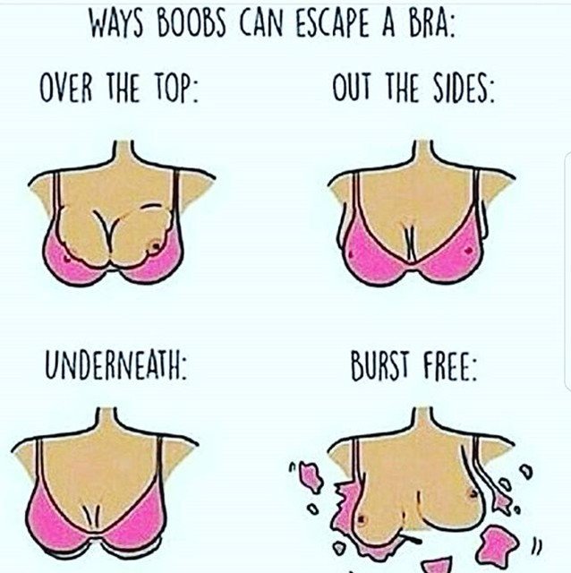 Reposting @belikebakchod:This thing oh ....#boobsmeme #boobs #memes #funnym...