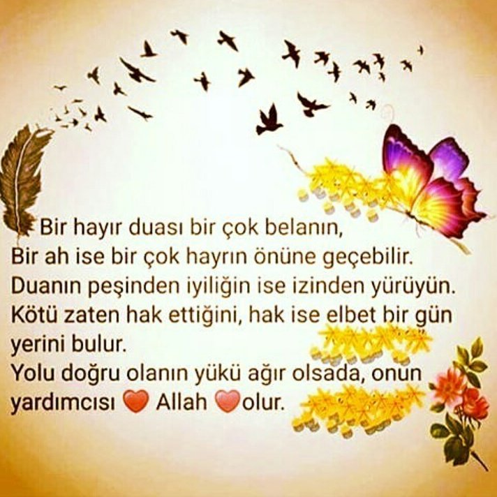 NazifeGzel4's tweet photo. https://t.co/sYmBqG4Vxn