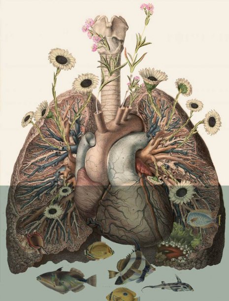 AZiHeron's tweet photo. Another thought-provoking image of the day #tpiotd #art #surreal #life #love #Earth #nature #environment #healthcare #pollution #toxins #ClimateChange #PolarCaps #deforestation #CleanAir #world #future #reflection #growth #plants #animals #FridayFeeling https://t.co/Ci1UvGb0Uz