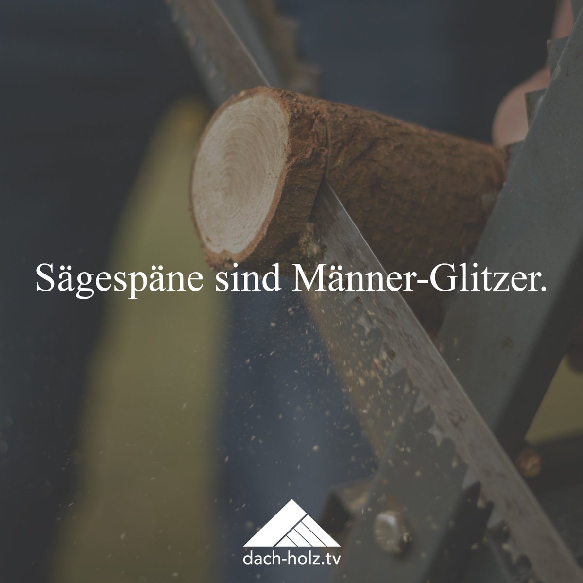 dach_holz_tv's tweet photo. Schön! 🌟✨💫 #dachholztv #handwerkerhumor #werkstattspruch https://t.co/OMeM0MUjnL