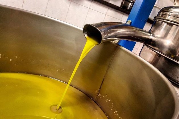 intoscana's tweet photo. Questo weekend, torna a Bagno a Ripoli l'appuntamento con #PrimOlio, la mostra mercato dedicata all'olio extra vergine di oliva prodotto sul territorio https://t.co/IKJkFSCuLi https://t.co/ae6pb7UUmX