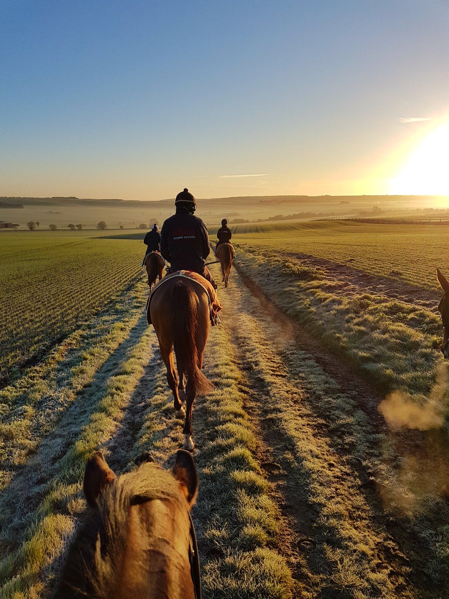 Chilly but gorgeous morning on Compton Gallops #Churnstables #NoelWilliamsRacing