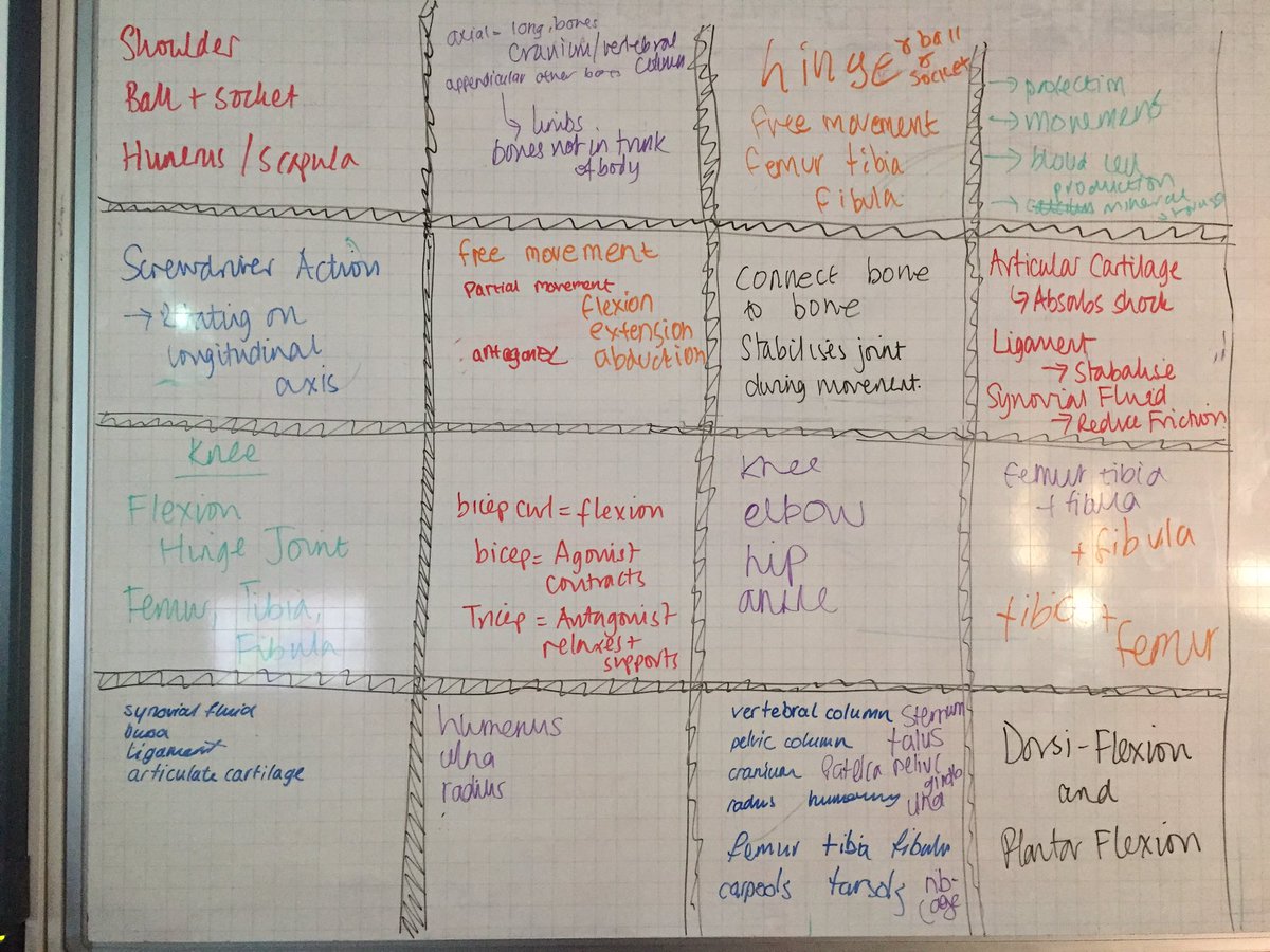 MissBassett_PE's tweet photo. Recapping content through board rush🤓🖍🏃🏽‍♀️#activelearning #alltheinfo #knowledge @PE4Learning @PEResourcesBank @PEgeeks @PETutor https://t.co/S3JmM0lNY4
