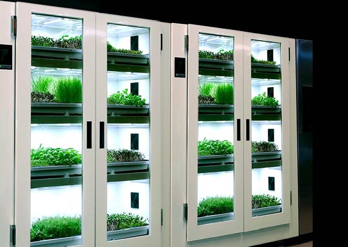 VeggieBros_'s tweet photo. GROW YOUR OWN! #veggie_bros #microgreen #superfood #urbanfarm #urbanfarming #farmersmarket #food #chefs #veggiebros https://t.co/GkSow3lY6H https://t.co/0zoCqF8eTp