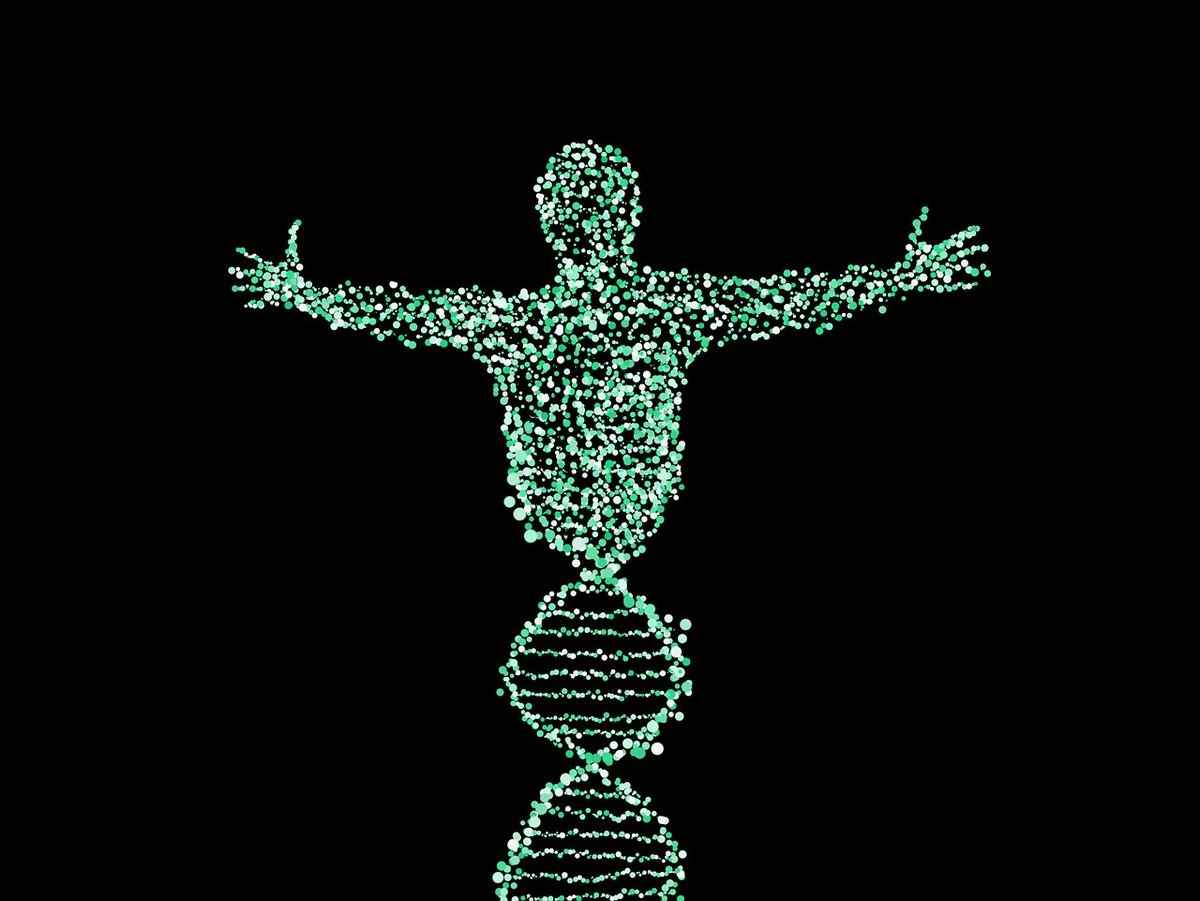 FutureGenetic1's tweet image. Get ahead of your peers by training for the future of medicine, We have a whole catalog of #genomics, #bioinformmatics and #machinelearning courses listed here. buff.ly/2z8P2m8