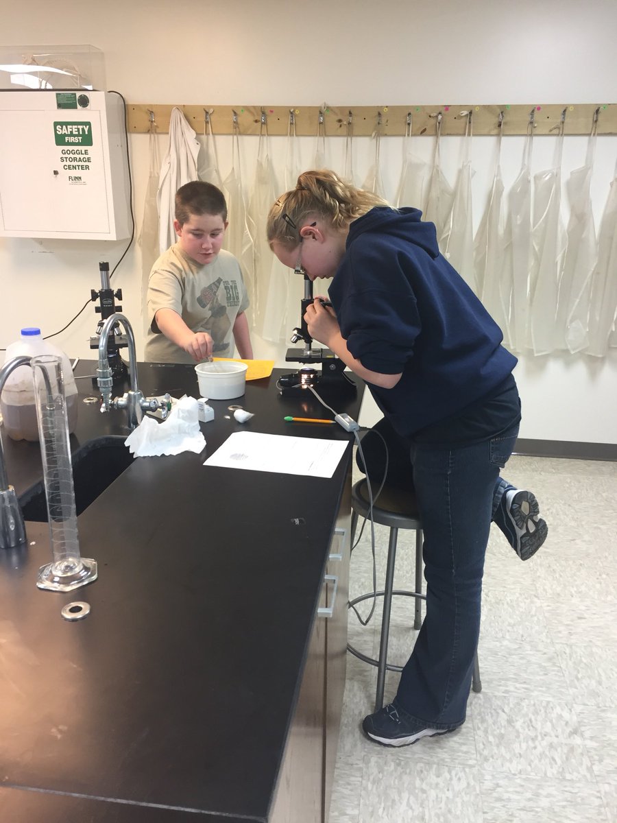 classminnie's tweet photo. Middle school students using microscopes for the first time. #TigertonProud https://t.co/JDoqu6qSBw
