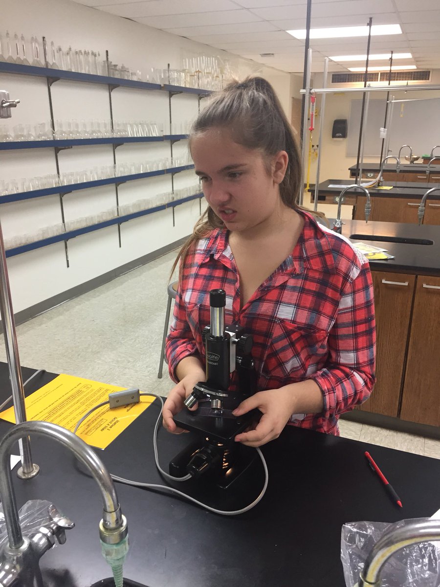 classminnie's tweet photo. Middle school students using microscopes for the first time. #TigertonProud https://t.co/JDoqu6qSBw