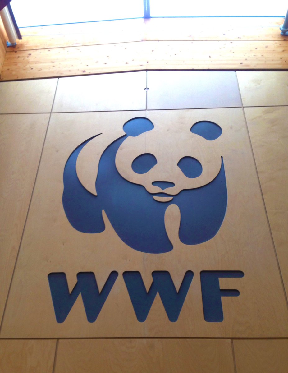 OceeDesign's tweet photo. Another very interesting office visit #workplaceweek17... Love the wooden Panda! @WWF https://t.co/bmjHOnySJE