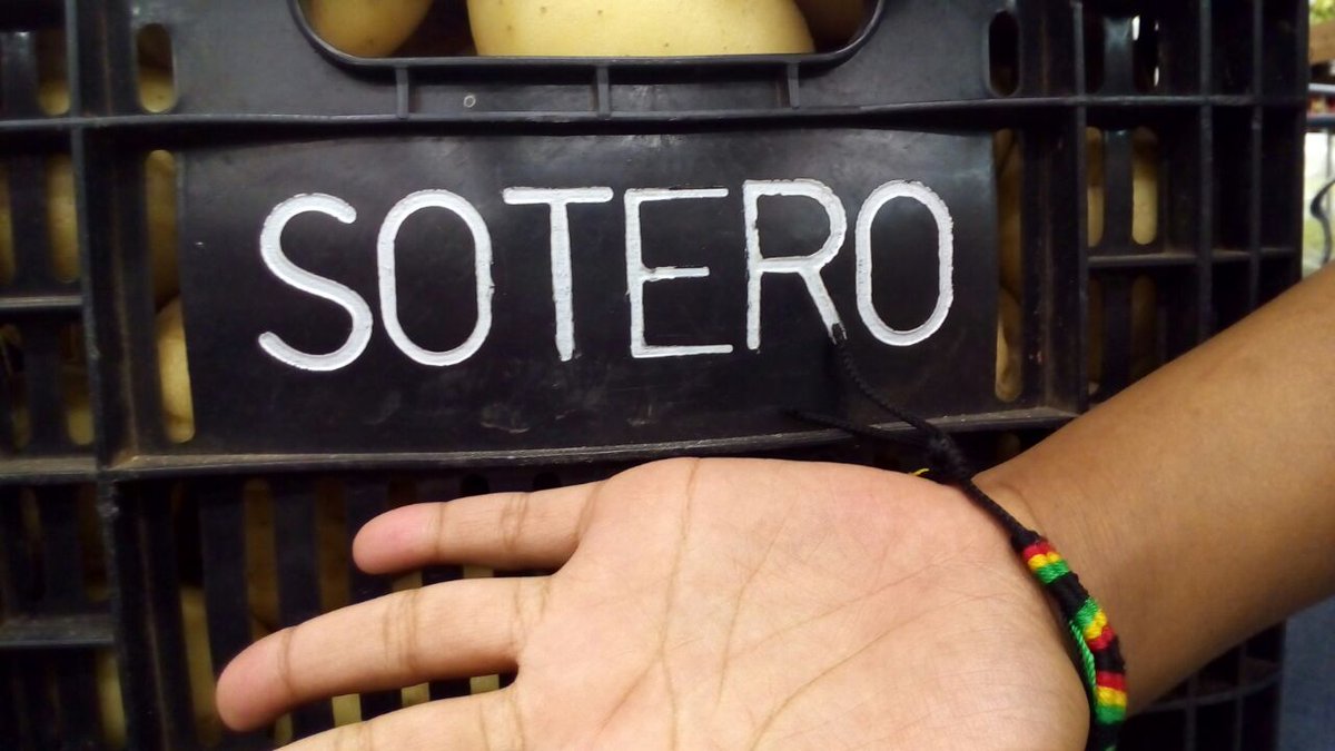 Quando a 10/10 pergunta se estou namorando