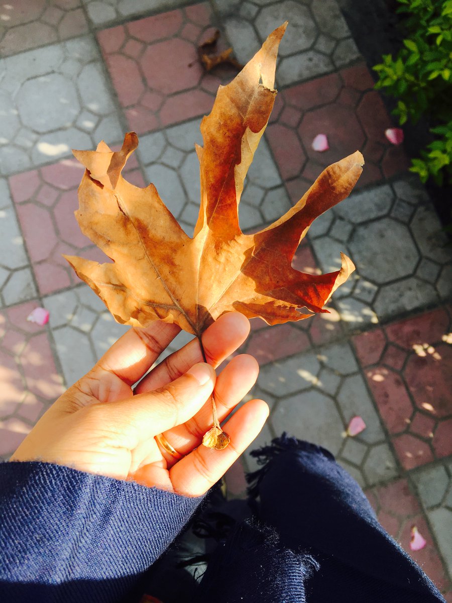 Mmmmunazzah's tweet photo. Mohabbatein feels 🍂 🍁 #AutumnPerson #ColorsofFall https://t.co/Y4ZiO9ejNs