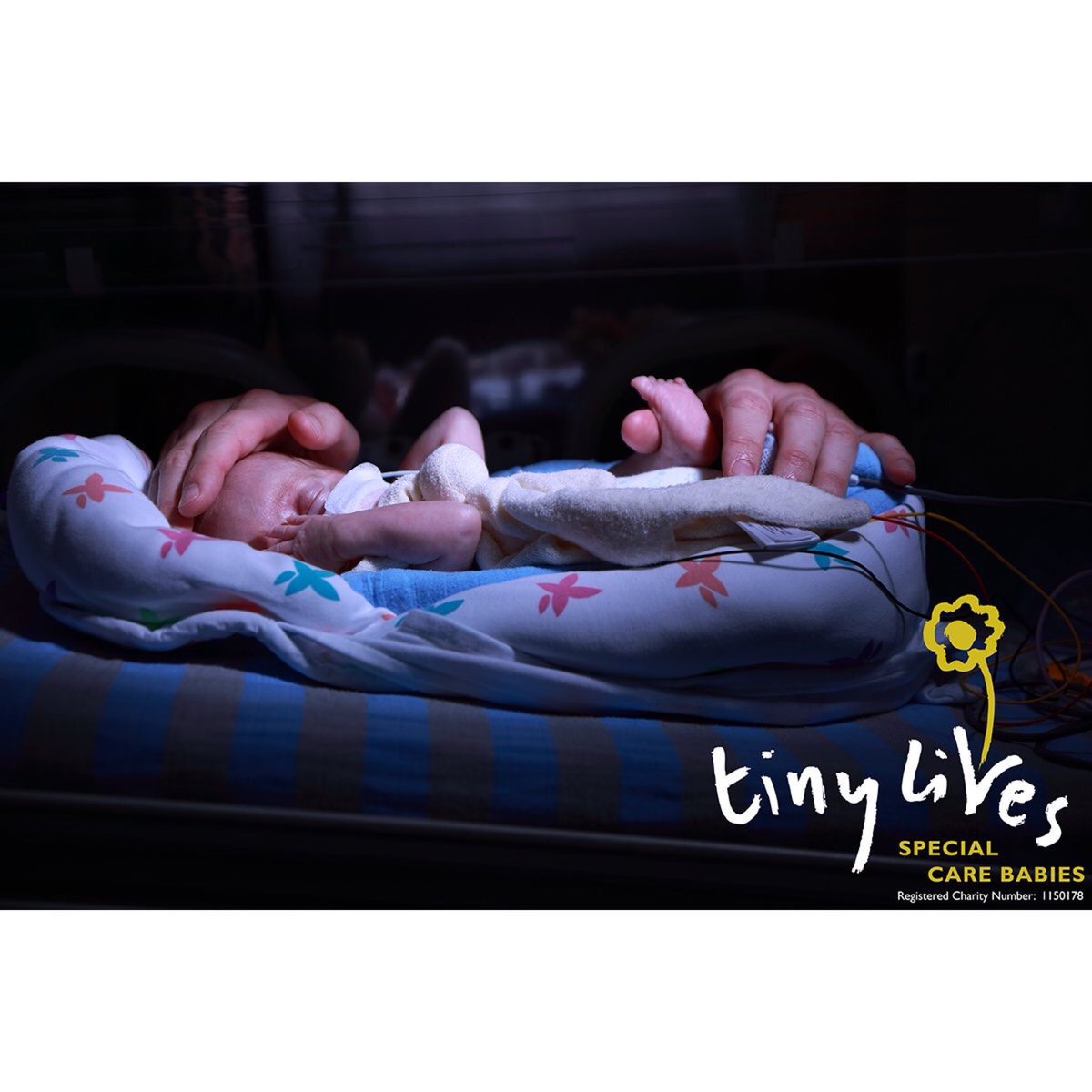 ladieswhorock's tweet photo. Proud to have supported @TinyLivesTrust at this years #LWR17 fundraising event! #WorldPrematurityDay2017 #WorldPrematurityDay #newcastle https://t.co/WirS4fDzPQ