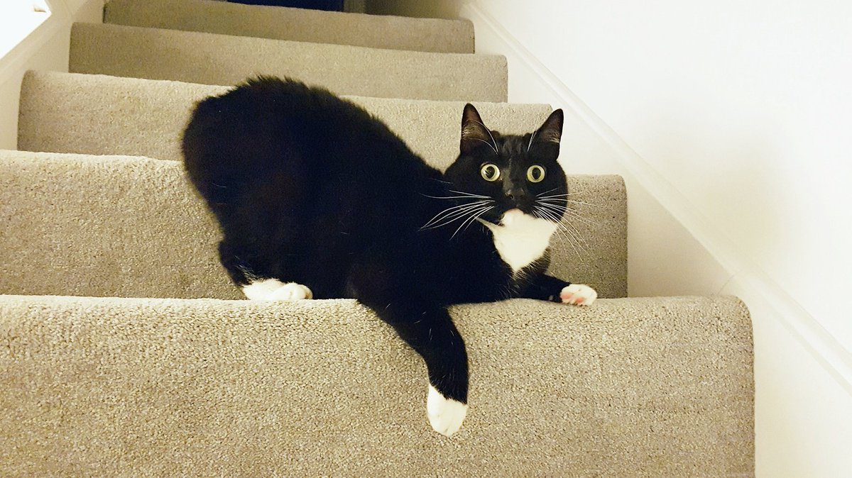 CuriousZelda's tweet photo. I regret eating self-raising flour. https://t.co/hwTYptV89n