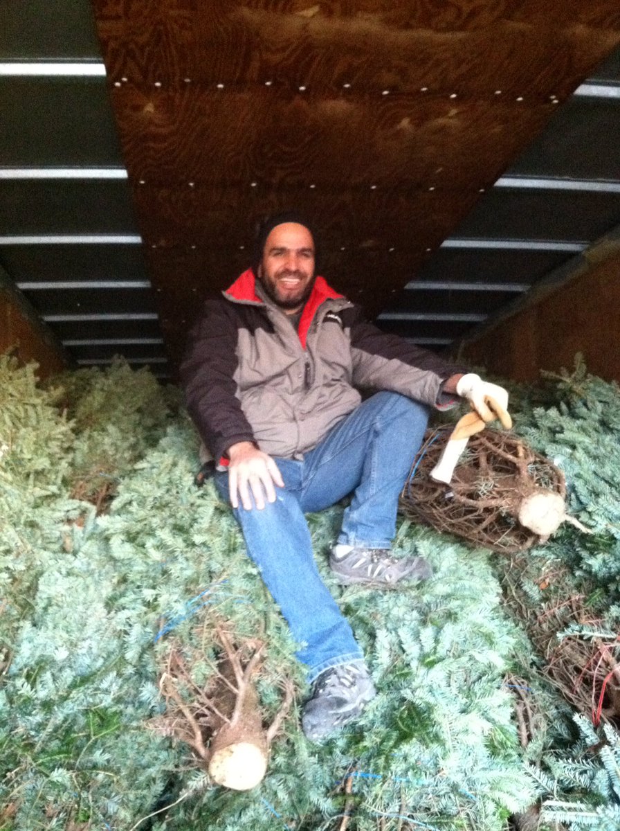 realbeenright's tweet photo. This Christmas tree unload has been brought to you by our new winter fragrance called: Hydar! Scents of spruce and cinnamon. @AnyaeBell @Alma_Depot8551 @APMTownsend https://t.co/JKLi48fshY