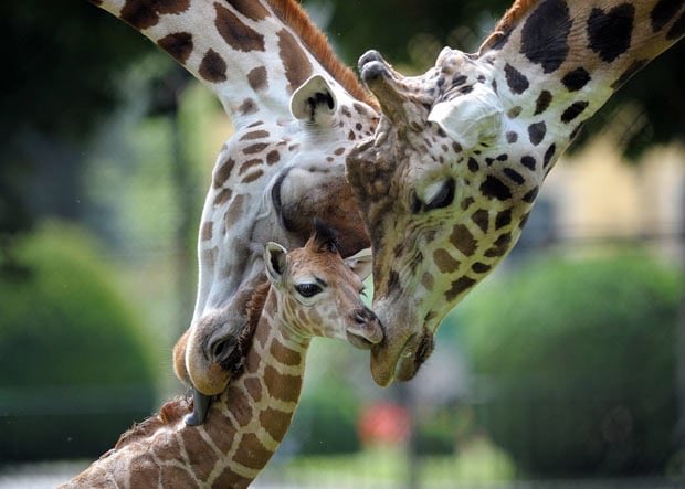 ramblingsloa's tweet photo. Pure love is a willingness to give,
Without a thought of receiving anything in return.

Peace Pilgrim https://t.co/KPHc5uVRUI