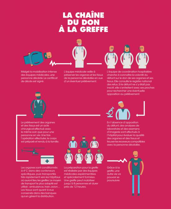 Comment se passe la chaîne du #DonDorganes jusqu’au moment de la greffe ? ⤵️