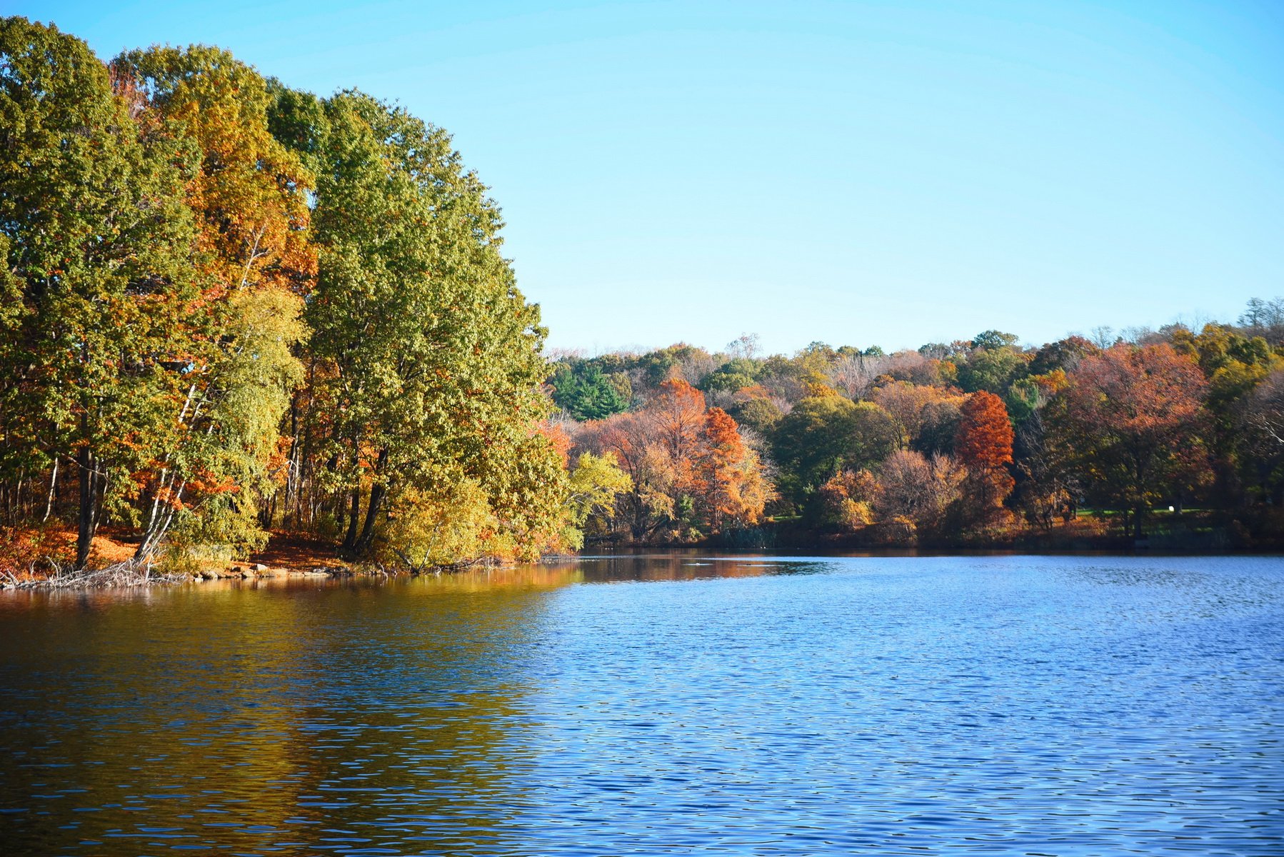 NYC Parks on X: Good morning from Van Cortlandt Park #intheBronx