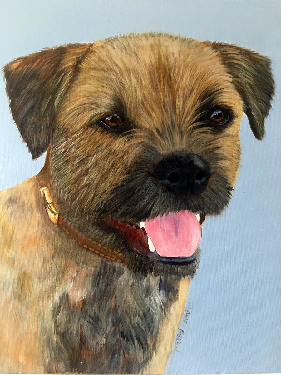 4pawsart's tweet image. ON THE EASEL - RIGBY COMPLETED! To commission your own Pet Portrait Contact Elaine 4PawsArt.com @thenortheastHUB @maizi_d @sunderland_hour @HSdirectSA @EBorderterrier @doggieplaces @doggie_diner_BH @borderterror @PetNPony @PawsatHomeDarlo @Borderterrierss @NEFollowers