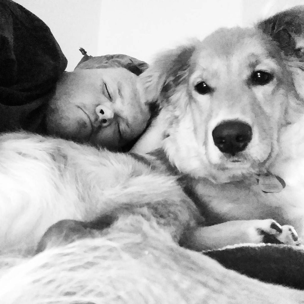 MISSINGMARMITE's tweet photo. Cheeky afternoon nap with Elvis. 🐕#missingmarmite #mydog #mypuppy #elvis #nap #selfie #cute #friday #dog #dogs #puppylove #puppy #dogsofinstagram #friends #czechrepublic🇨🇿 https://t.co/SrK8F7ir5I https://t.co/a57gDnjw9f