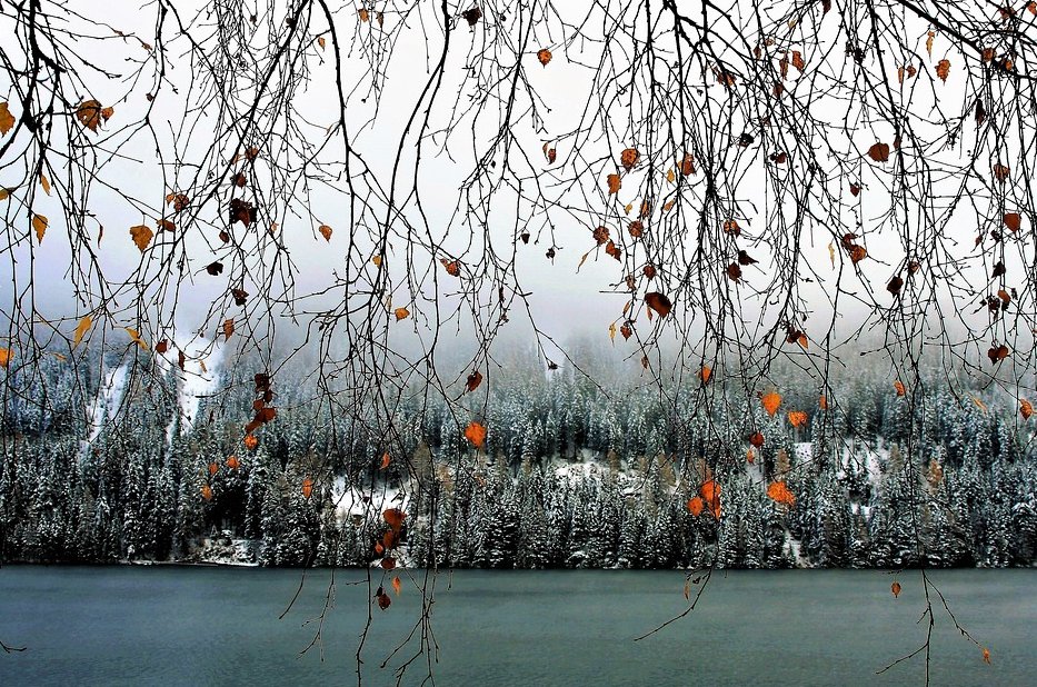 그림튜브 ArtTube (@picturejkj) on Twitter photo 