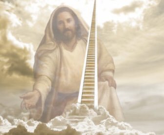 Cuando no pusiste el pollo a descongelar y tu Mamá viene en camino #risas #memes #humor #chistes