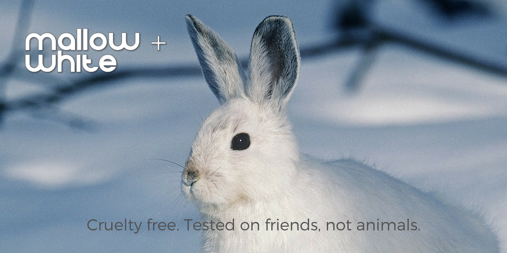MallowWhite's tweet image. Are we cruelty free? Yes, yes, yes. #aquestionIwasaskedtoday