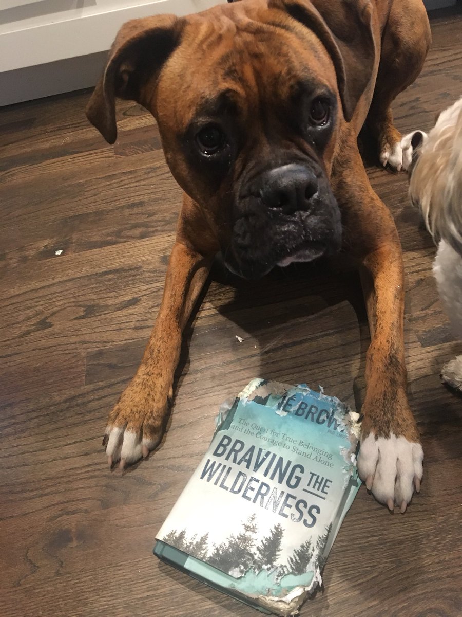 deenarutter's tweet image. Hey @BreneBrown,  it's not just me who likes devouring your books! Luckily I still have this one on Audible😉